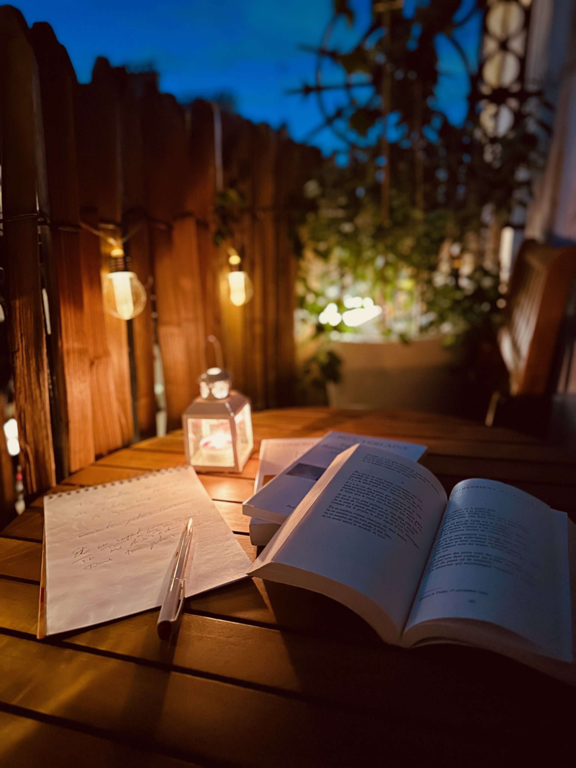 Affiche du spectacle au Bal Perdu - Juliette Chantitch et Fred H - @studiofredh